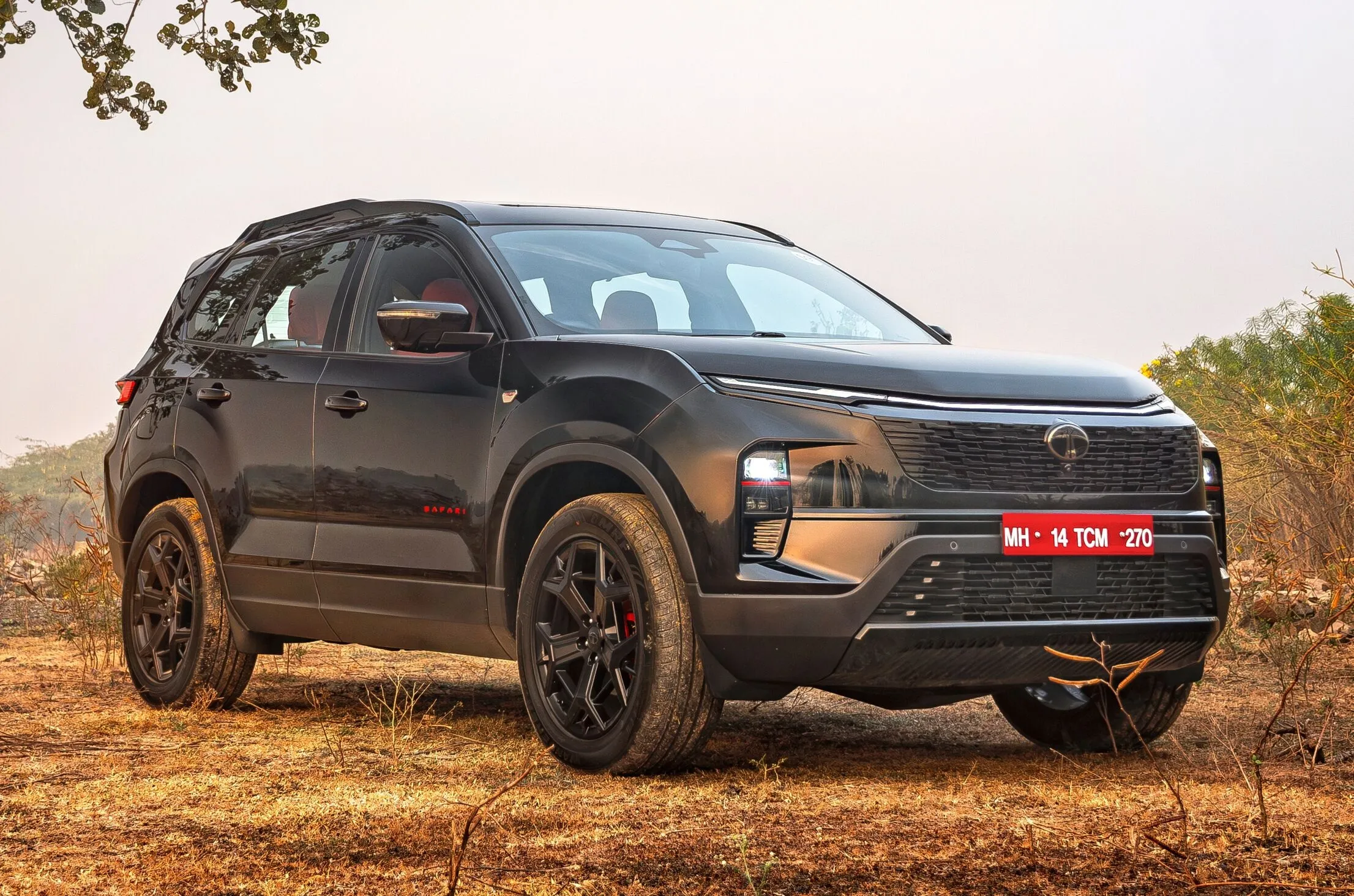 Tata Harrier and Safari Petrol Launched in India: Price Starts at ₹12.89 Lakh, New 1.5L TGDi Engine, Advanced Safety